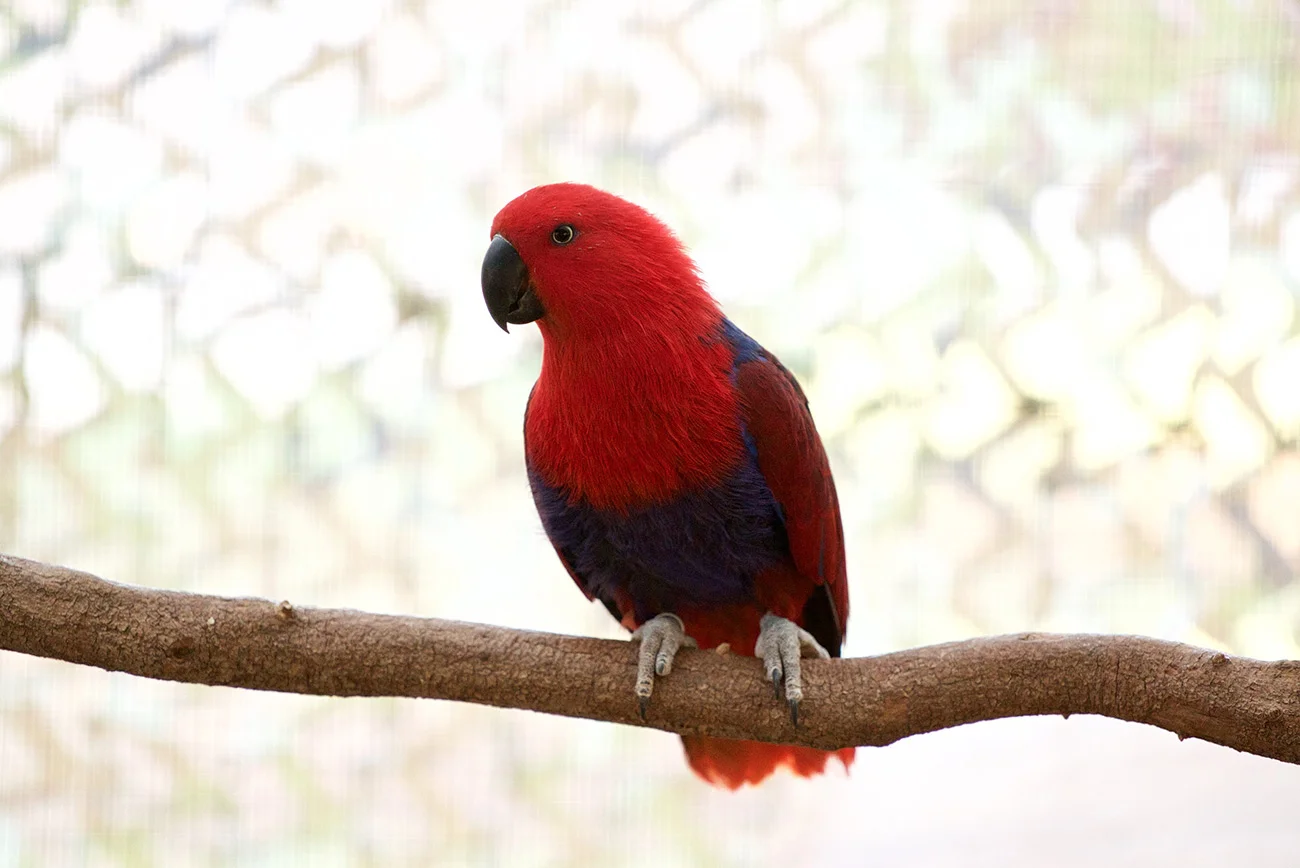 Family Activities Kefalonia - Things to do in Kefalonia for families - Kefalonia Parks